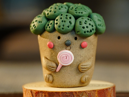 Jingdezhen Hand-Pinched Broccoli Tea Pet & Incense Holder